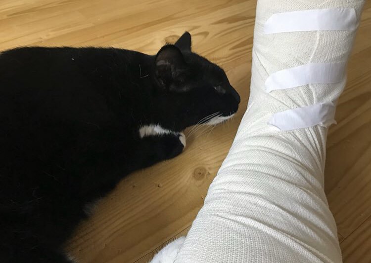 귀엽지 않았으면 멸종당했을 생물.jpg | 인스티즈