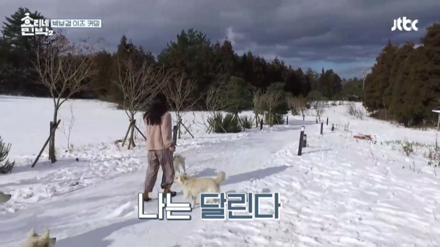 [효리네민박2] 박보검을 본 이효리 반응.jpg | 인스티즈