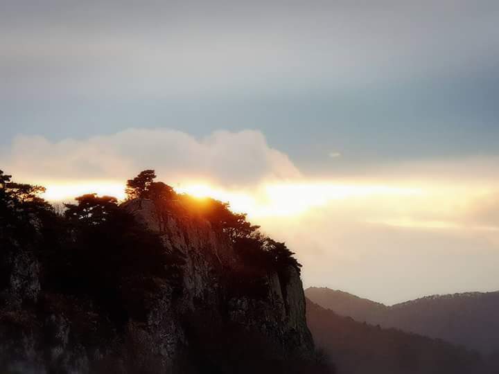 신안교회 이미지