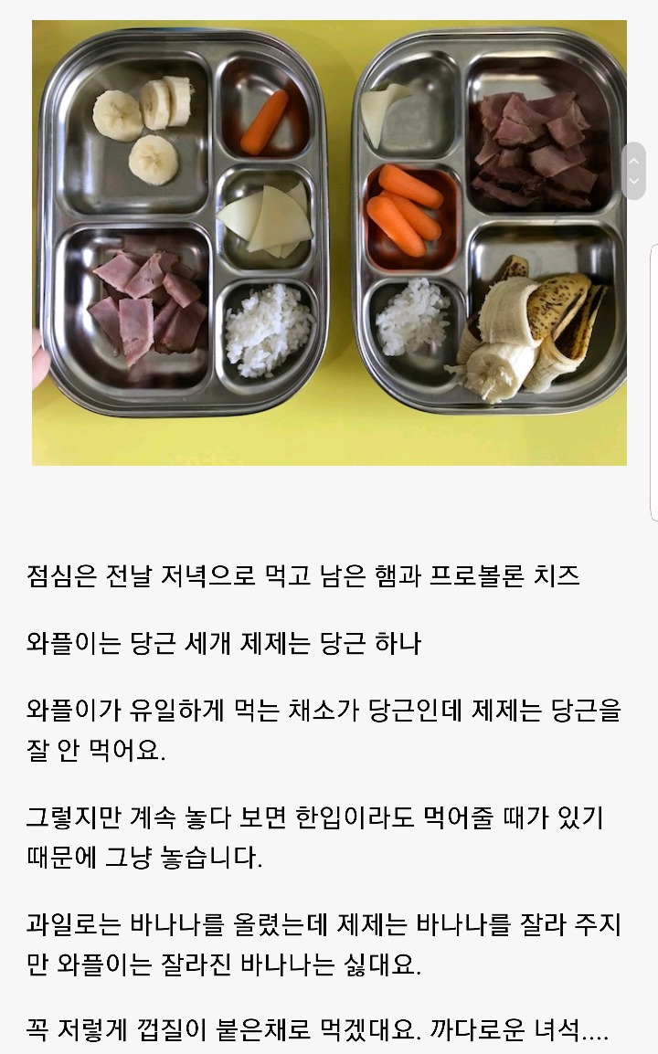 한국인 친구가 보고 놀란 미국 아기들의 유아식 | 인스티즈