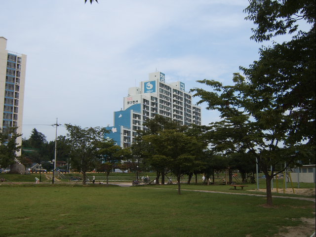신호조명 이미지