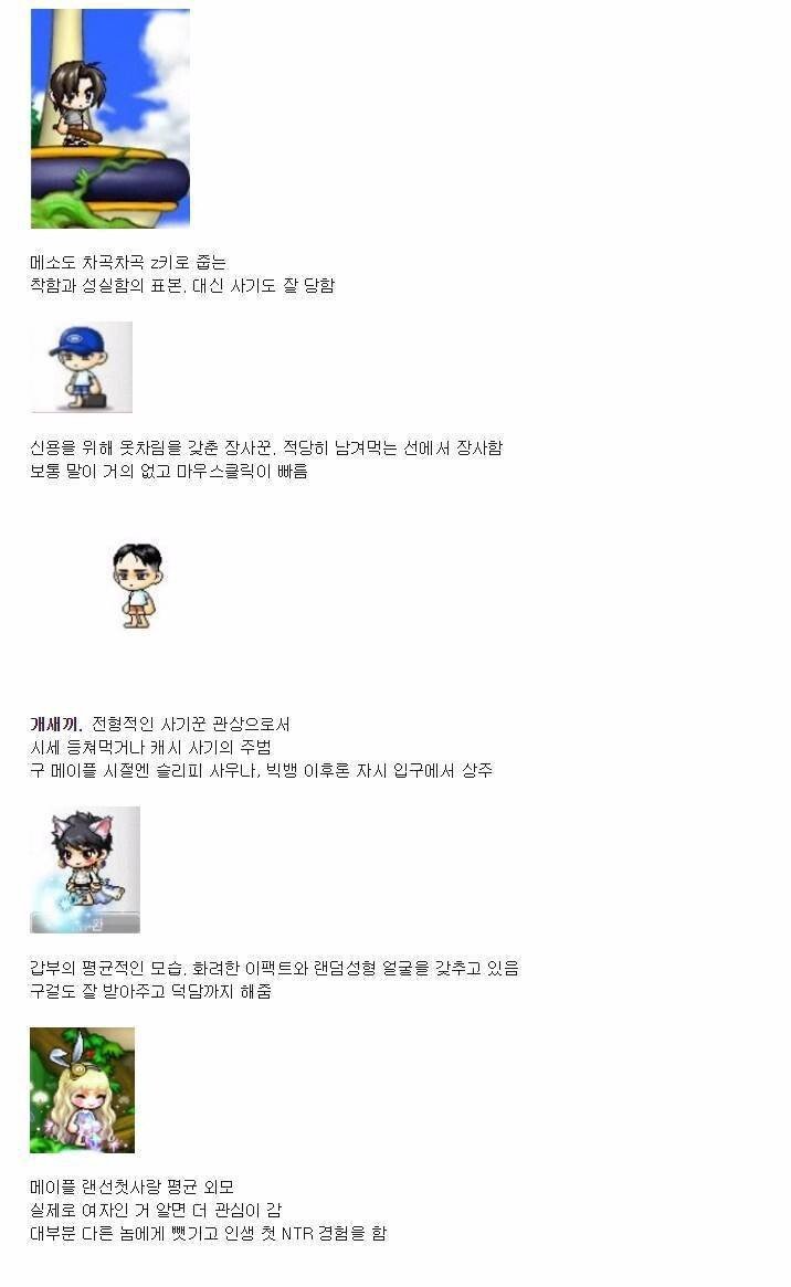 메이플스토리 캐릭터별 관상.jpg | 인스티즈