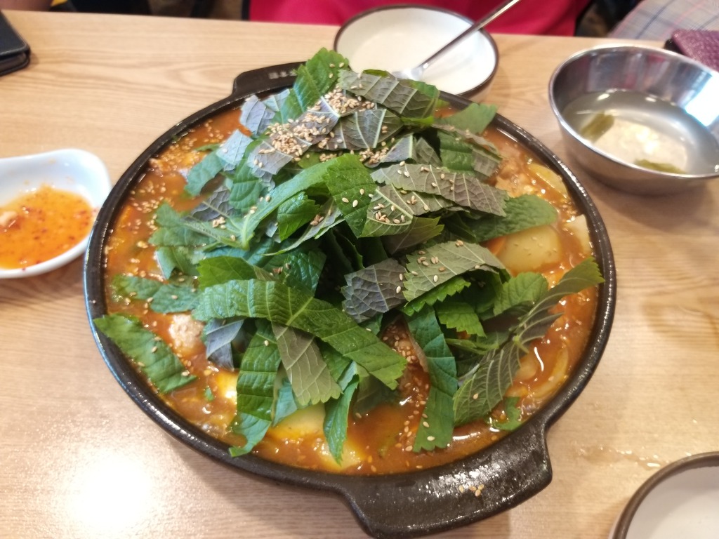 대성당구장 이미지