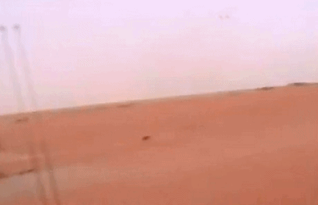 드리프트 고인물 사막토끼.gif | 인스티즈