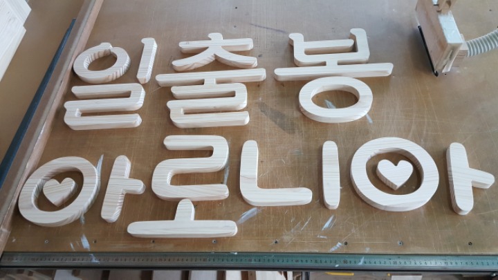일출봉아로니아 이미지