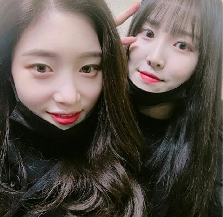 유채꽃(유주와 정채연).jpgif | 인스티즈