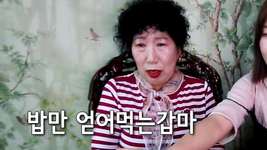 박막례 할머니의 정해인 매력 거부하기 jpg | 인스티즈
