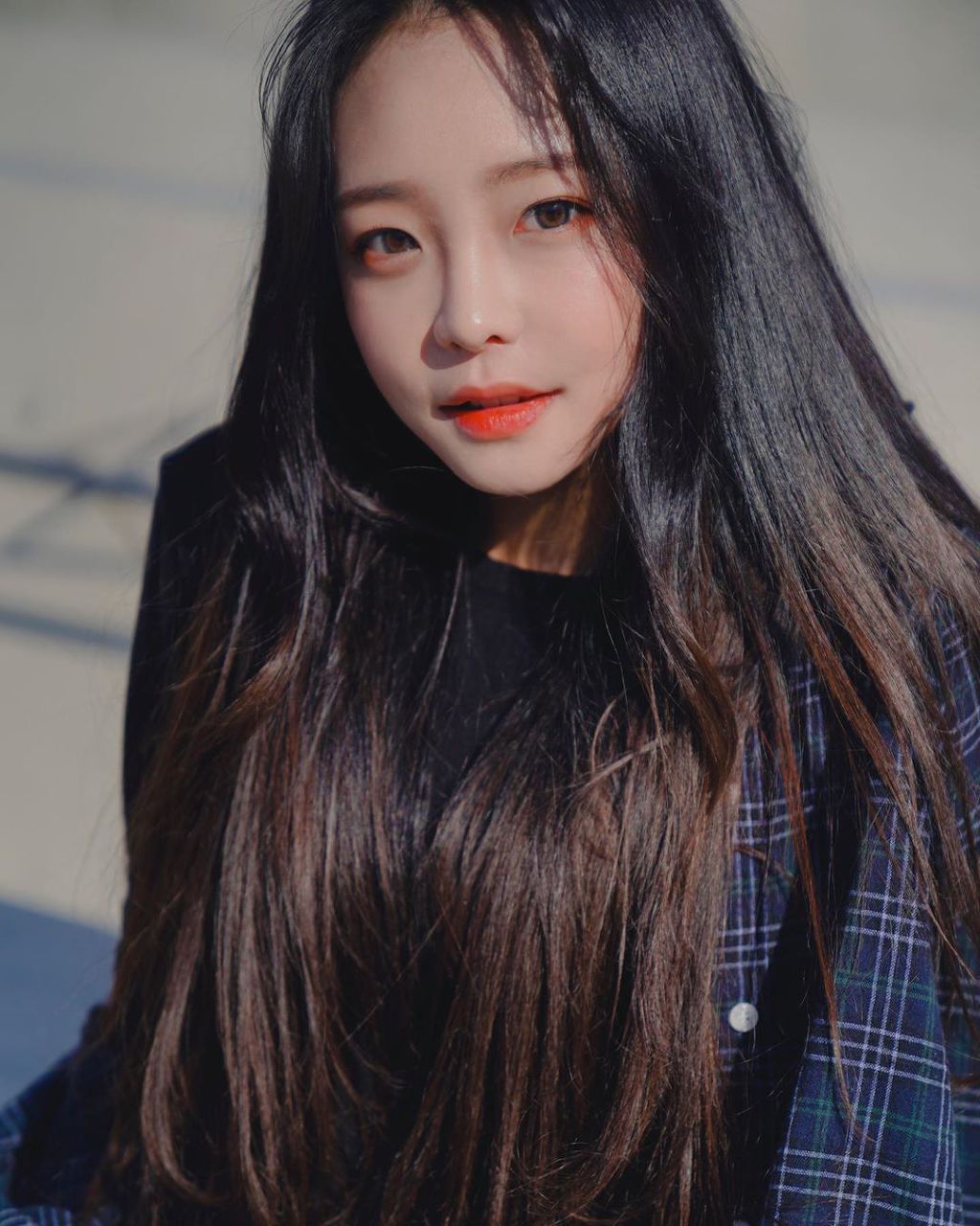 하콩이네 이미지