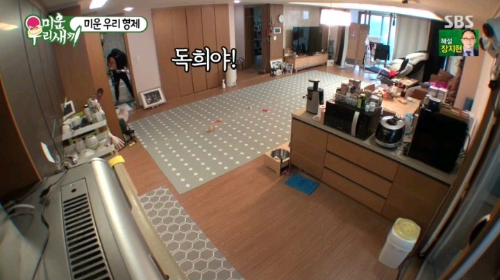혼날까봐 눈치보는 독희 | 인스티즈