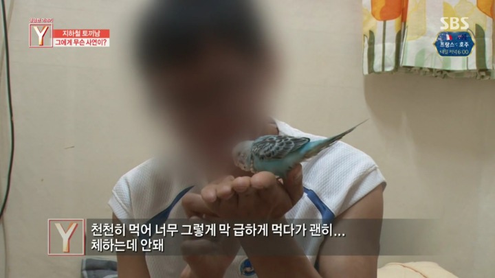 지하철에 토끼를 데리고타던 토끼남 그의 사연 | 인스티즈