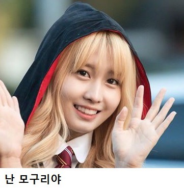 너구리에 대한 오해 | 인스티즈