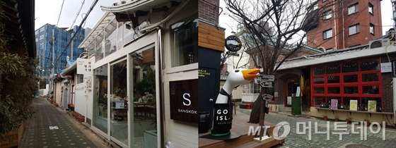 한옥양과 이미지
