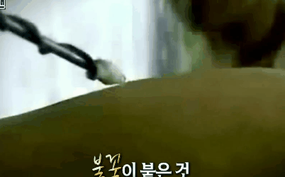 온 몸에 전기가 흐르는 남자ㄷㄷㄷ.jpgif | 인스티즈