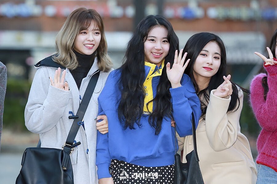 Breaking News - 예쁘고 귀여운 죄로 연행되는 아기맹수 채영이 | 인스티즈
