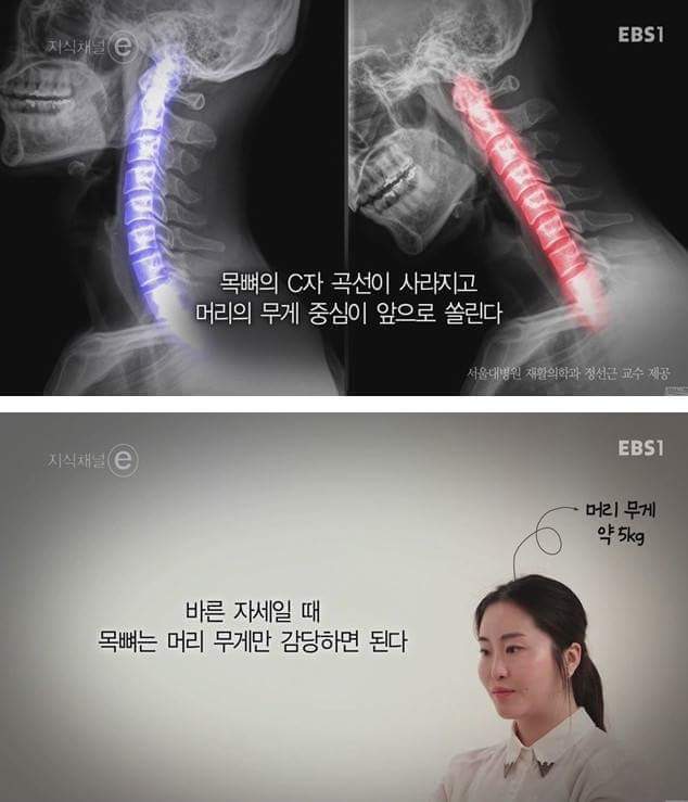 우리의 근육이 바쁜 이유 | 인스티즈
