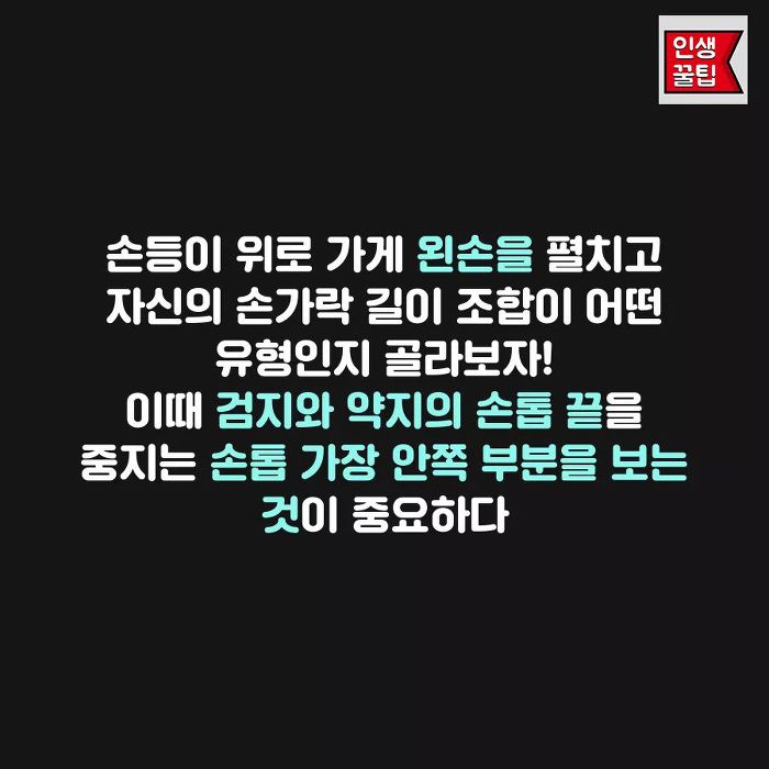 손가락 길이로 보는 뇌유형 테스트 | 인스티즈