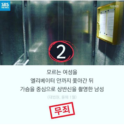 얘들아 개파라치 시행/공격성과 무관한 입마개 착용 의무화에 반대하는 가장 효과적인 방법!!! | 인스티즈