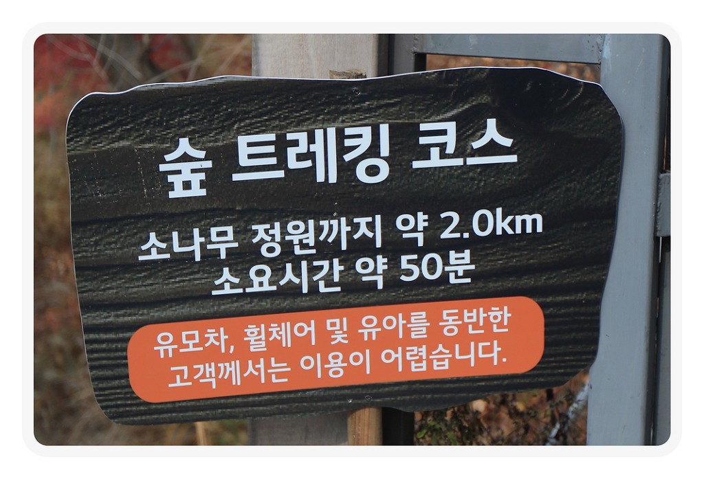 하담 이미지