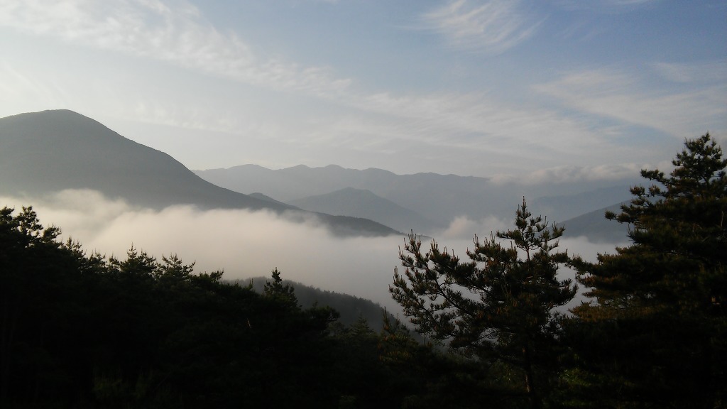 길섶 이미지
