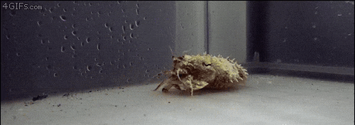 몰카 레전드.gif | 인스티즈