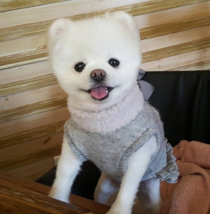 살찌우려고 폭식하는 남자 | 인스티즈