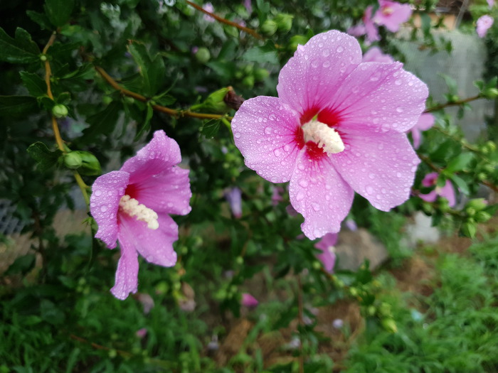 9993283C5D47A2E01BF3F9