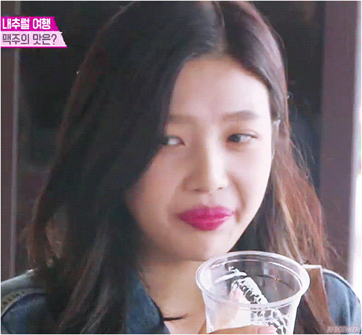 [레드벨벳] 이제 러비들의 맥주는 피츠로 대동단결 | 인스티즈
