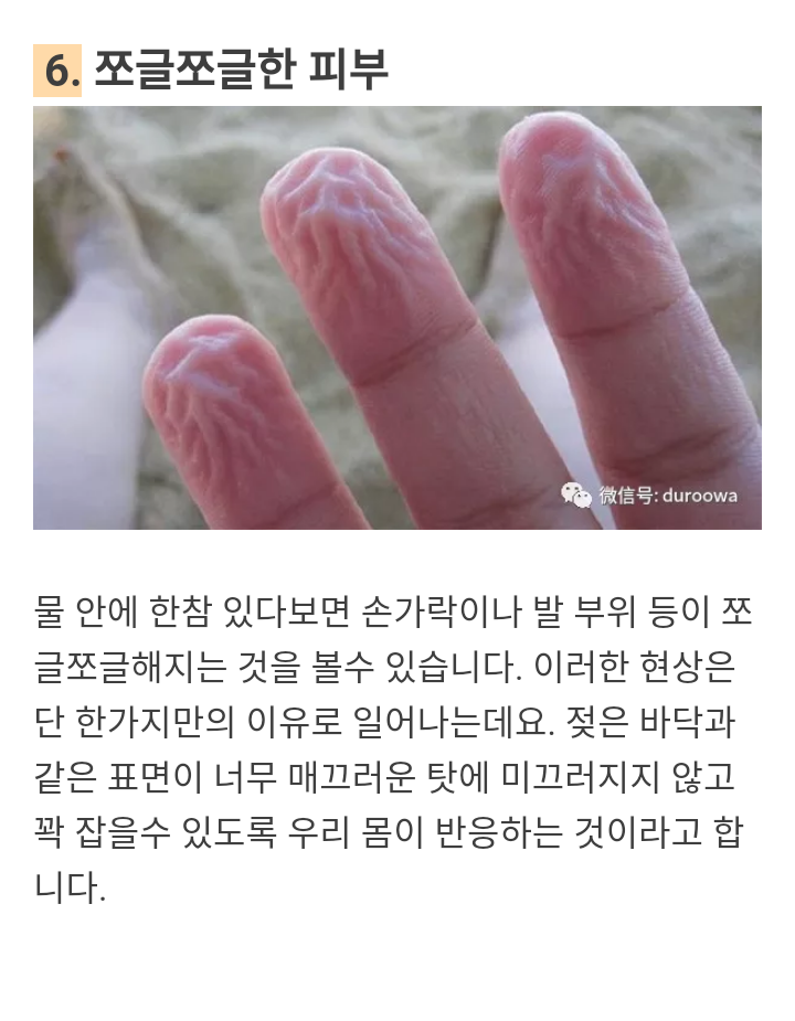 우리 몸의 방어 현상 | 인스티즈