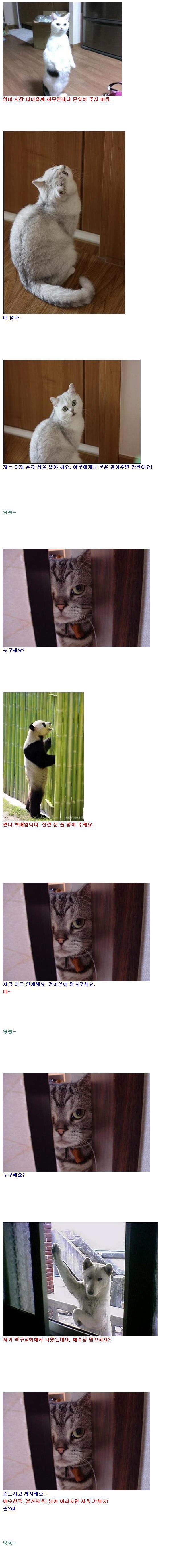 엄마 시장갔다 올테니 아무한테도 문열어주지 마렴 | 인스티즈