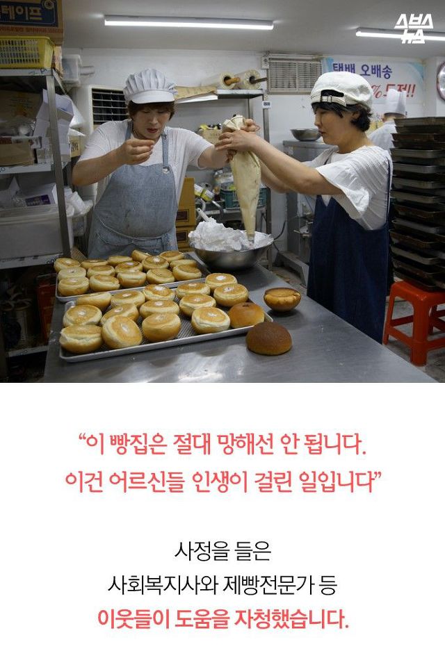 줄 서서 사 가는 전주비빔빵 | 인스티즈