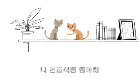 [동물] 고양이의 속마음 | 인스티즈