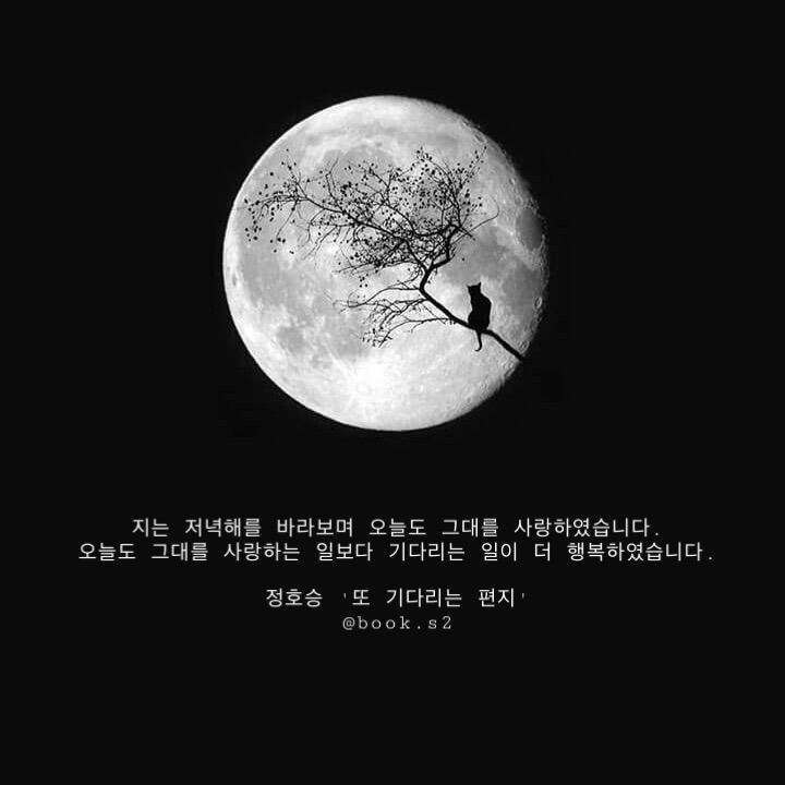 다행이다. 내가 사랑하는 사람이 나를 사랑하지 않아서 | 인스티즈