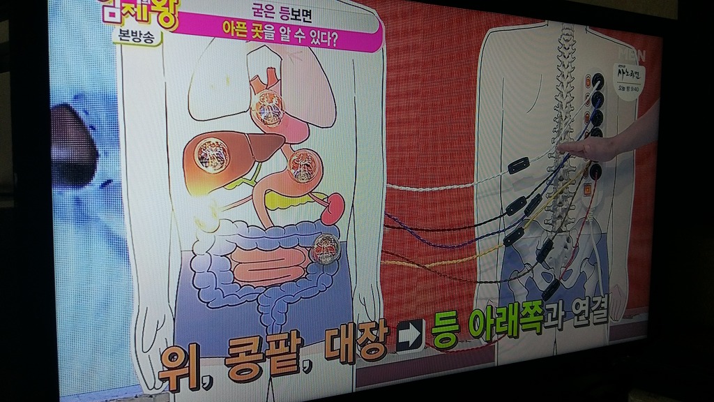 자연만세 이미지