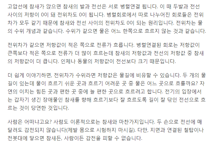 참새가 고압선에 감전되지 않는 이유 | 인스티즈