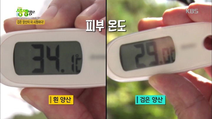검은 양산이 더 시원하다? | 인스티즈