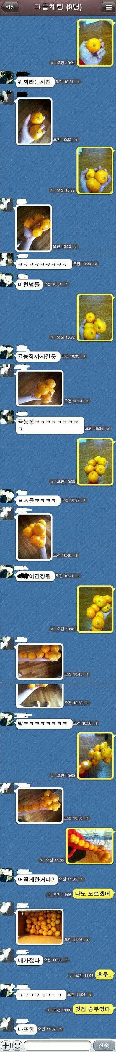 귤 전쟁의 서막 | 인스티즈