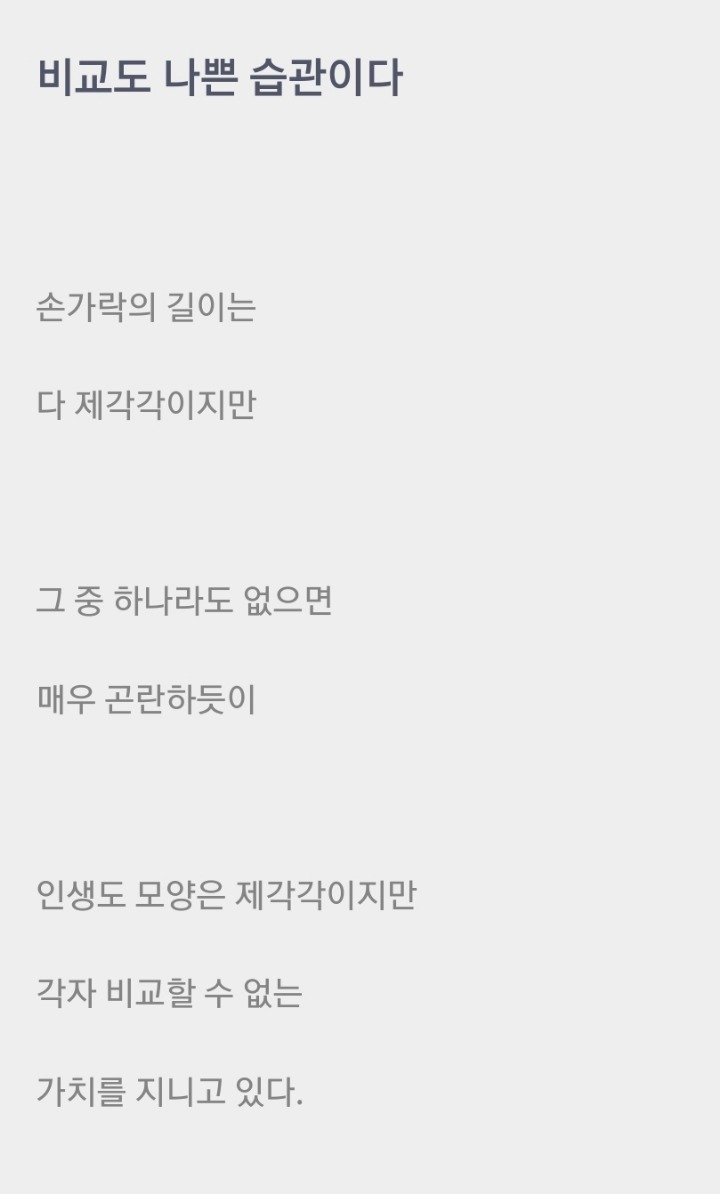 베리나이스 이미지