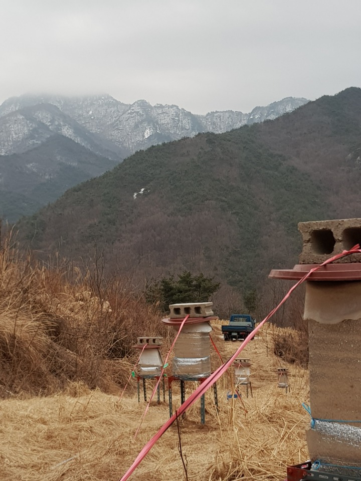 비마 이미지