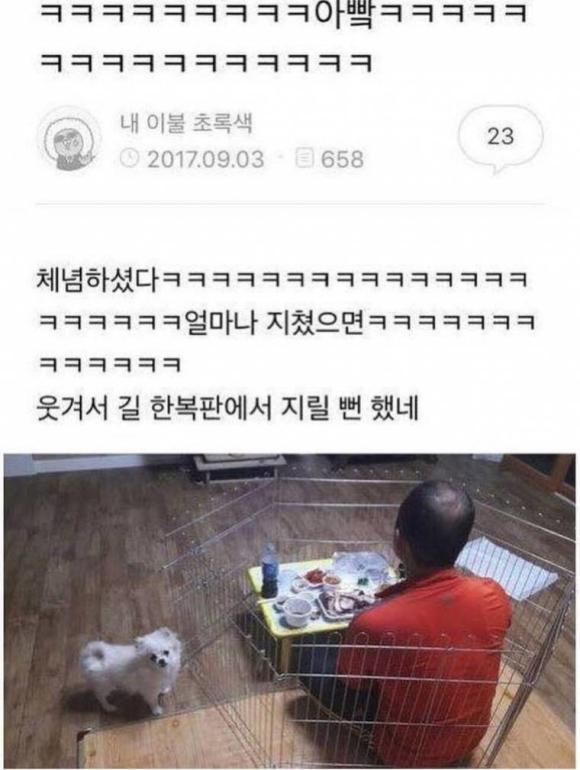 댕댕이에 너무 지친 아버지.jpg | 인스티즈