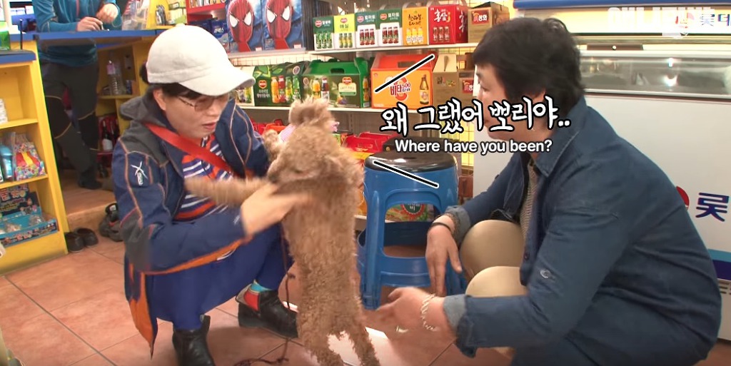 대낮에 남의 개를 납치한 여자 | 인스티즈