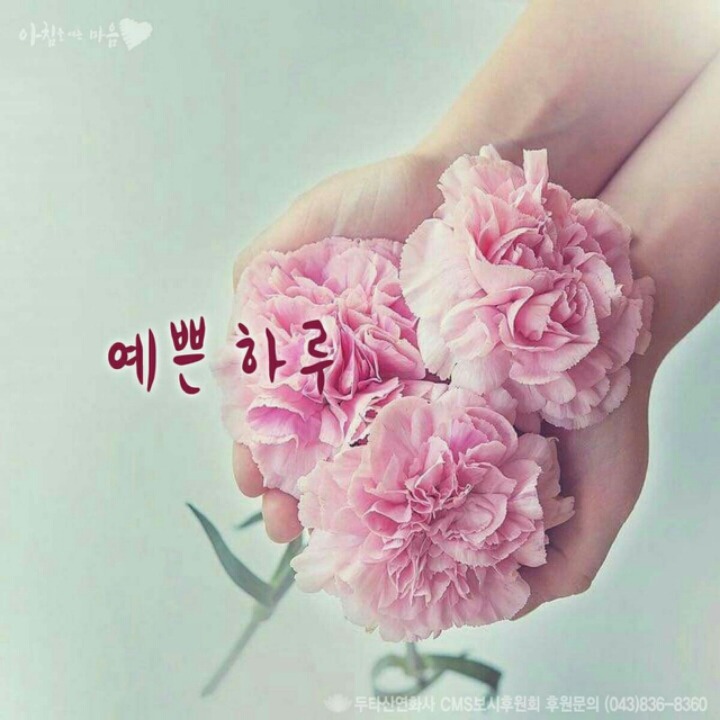 행복한 하루 이미지