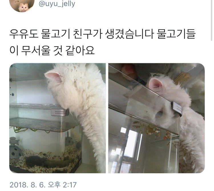 들임 이미지