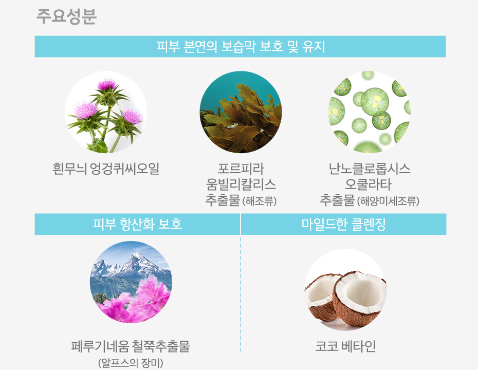 빌리먼트 이미지