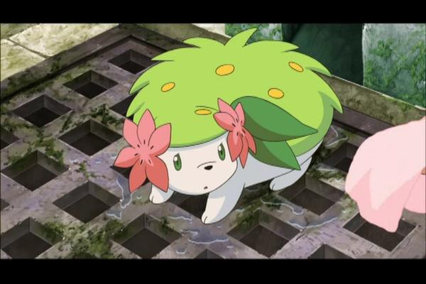 귀여운 디자인으로 호평받았던 포켓몬 쉐이미 | 인스티즈