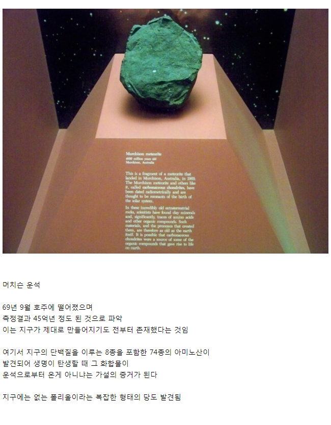 지구 최초의 정자류 甲 | 인스티즈
