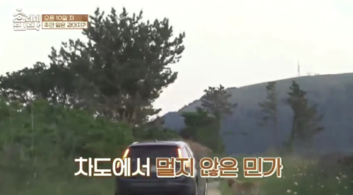 [효리네민박] 길에서 만난 강아지. jpgif | 인스티즈