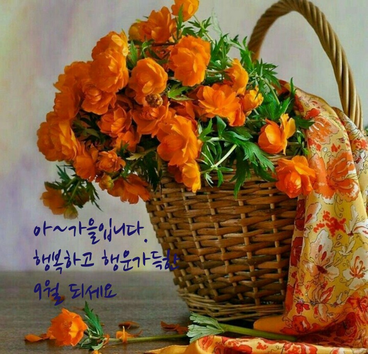 해피데이 이미지