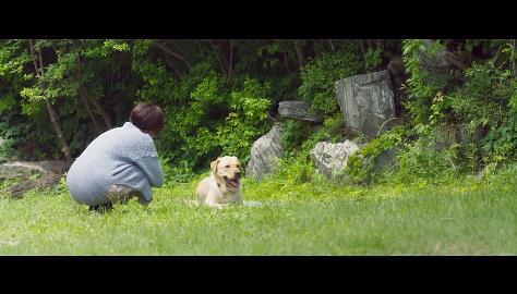 나에게만 그녀가 보이기 시작했다. 천우희 김남길 주연 ＜영화 어느날＞ 05 | 인스티즈