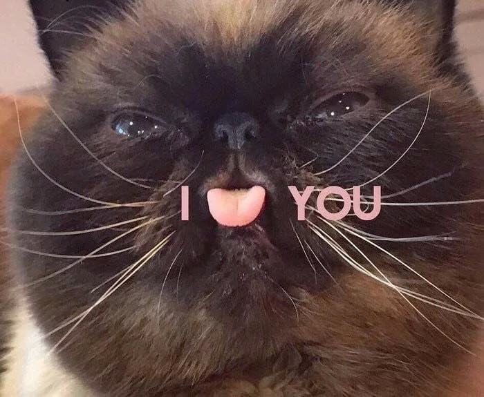 아이러브유 이미지