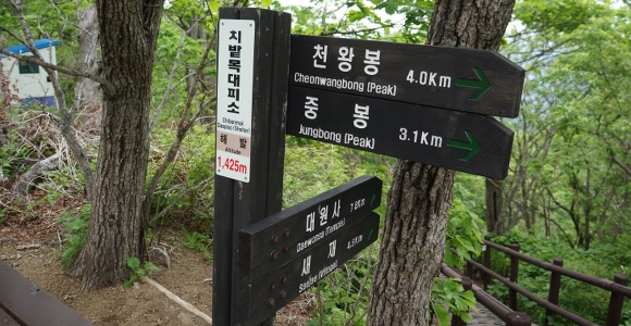 99D337425CF73EE726206D
